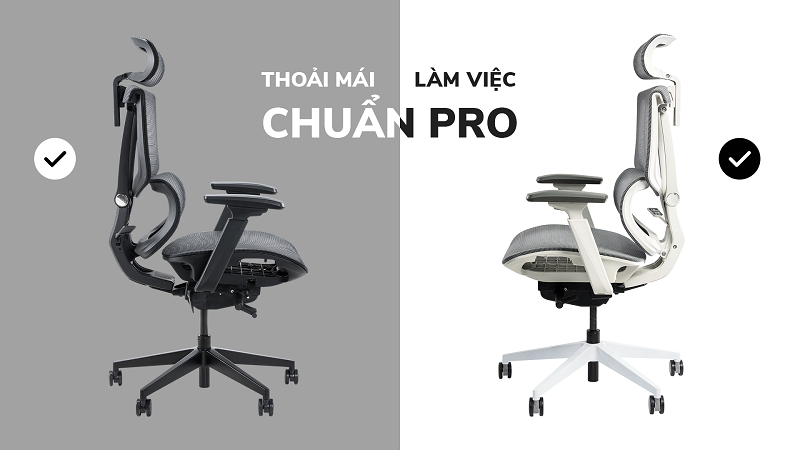 Ghế Công Thái Học Epione Giá Tốt | Bảo Hành Đến 5 Năm
